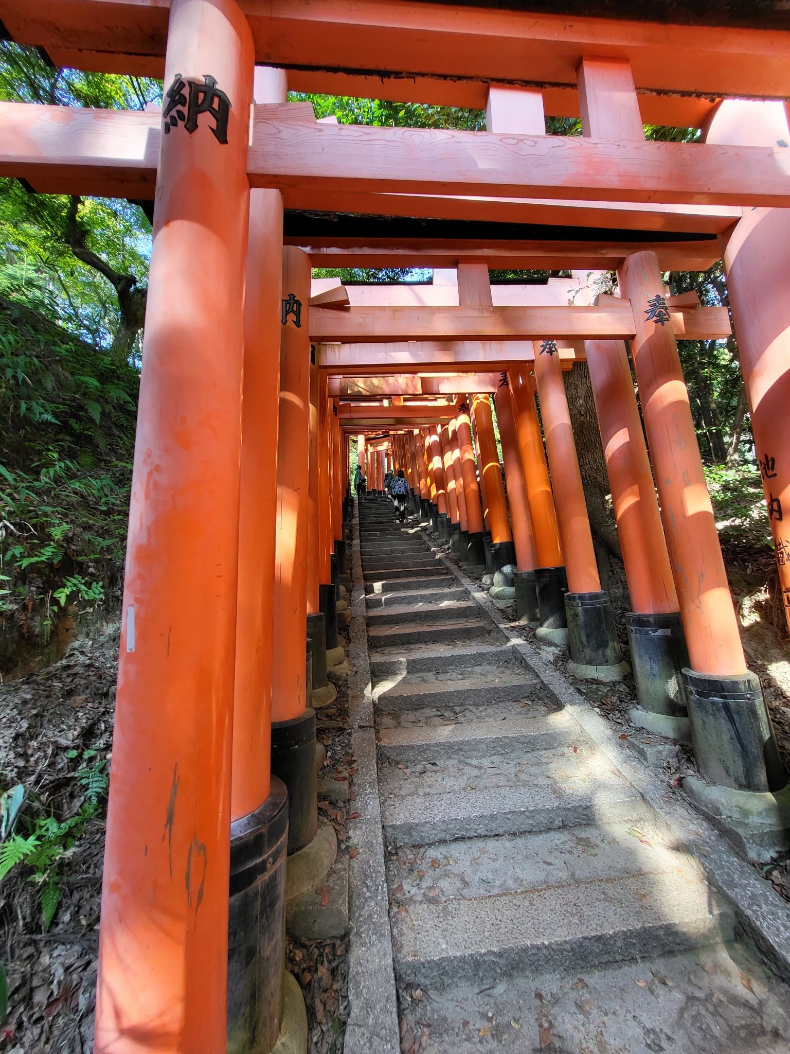 Fushimi Inari